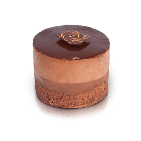 Muscle Love Crop Tank