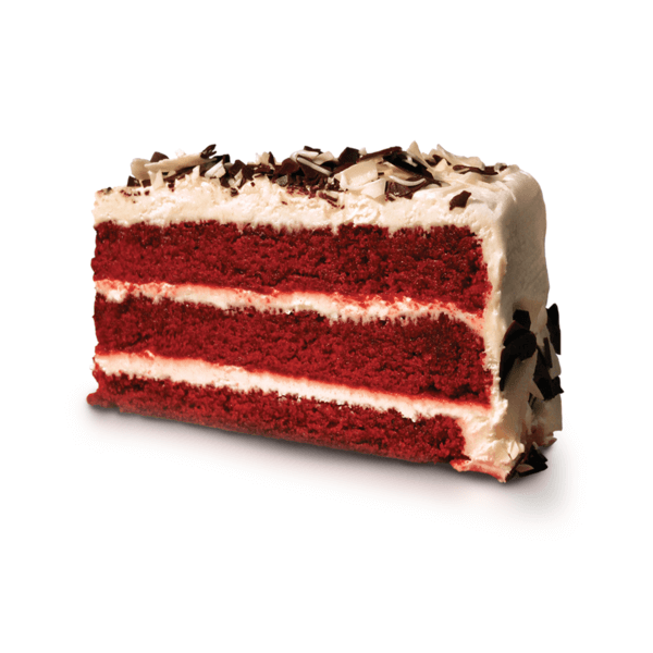 Panel Dip Dye And Raw Edge